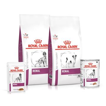 ROYAL CANIN® Renal Adult Dog Food - Pet Health Direct