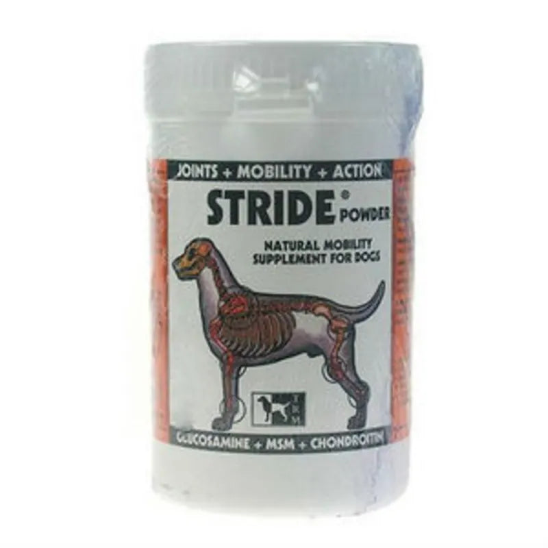 Stride for Dogs