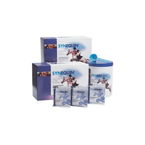 Synoquin Equine - Pet Health Direct