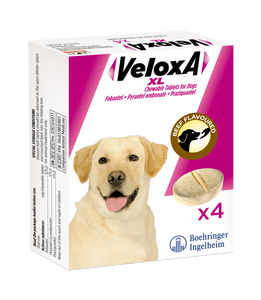 Veloxa Wormer for Dogs