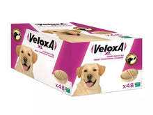 Load image into Gallery viewer, Veloxa Wormer for Dogs
