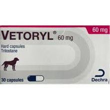 Load image into Gallery viewer, Vetoryl Capsules - Pet Health Direct
