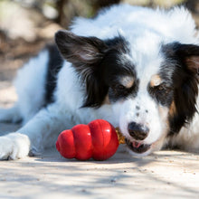Load image into Gallery viewer, KONG Puppy Snacks - Pet Health Direct
