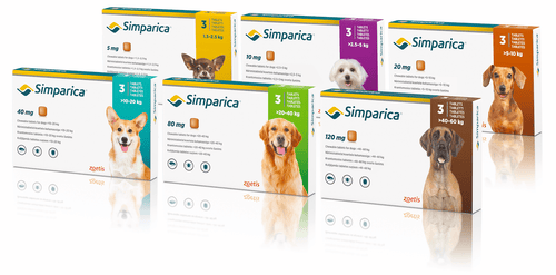 Simparica Flea & Tick Tablets for dogs - Pet Health Direct