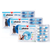 Load image into Gallery viewer, Zylkene Calming Supplement Capsules - Pet Health Direct

