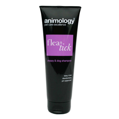 Animology Flea & Tick Shampoo - Pet Health Direct