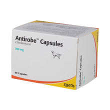Load image into Gallery viewer, Antirobe for Dogs &amp; Cats Capsules - Pet Health Direct
