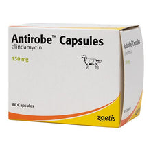 Load image into Gallery viewer, Antirobe for Dogs &amp; Cats Capsules - Pet Health Direct
