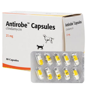 Antirobe for Dogs & Cats Capsules - Pet Health Direct