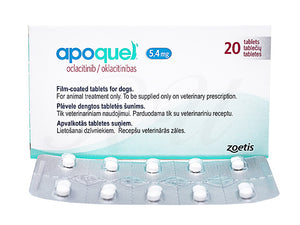 Apoquel for Dogs - Pet Health Direct