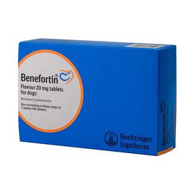 Benefortin for Dogs & Cats - Pet Health Direct
