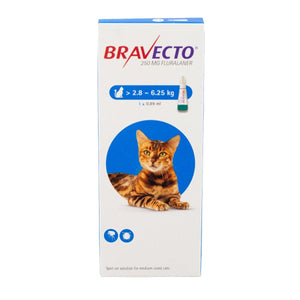 Bravecto Spot On for Cats - Pet Health Direct