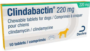 Clindabactin® Chewable Tablets