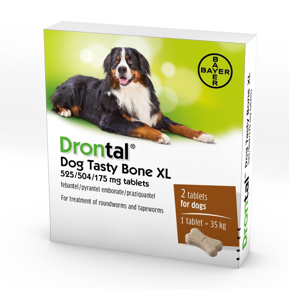 Drontal Dog Tasty Bone XL - Pet Health Direct