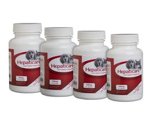 Load image into Gallery viewer, Hepaticare Liver Support Supplement - Pet Health Direct

