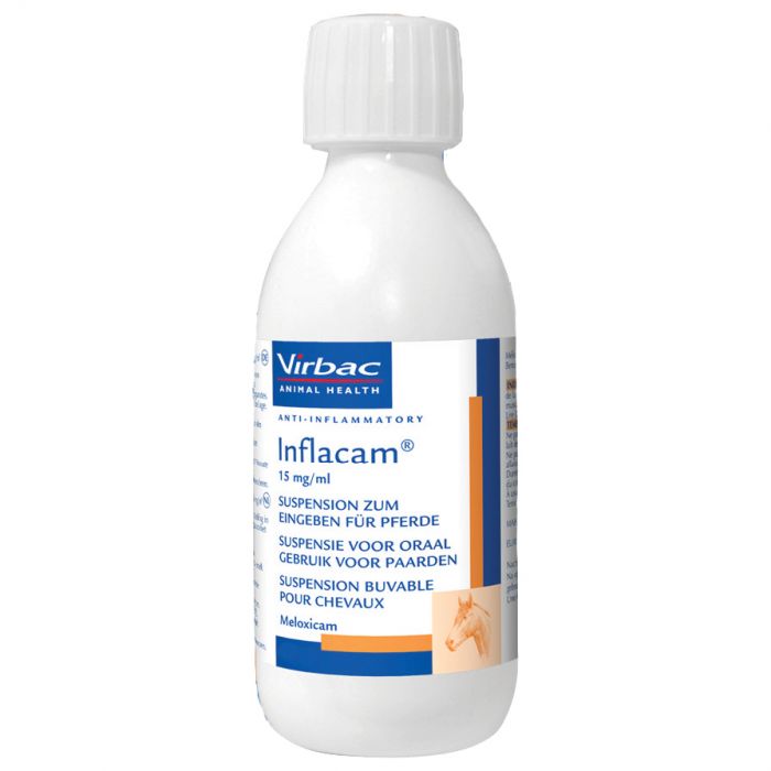 Inflacam For Horses Suspension and Granules - Pet Health Direct