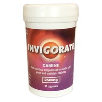 Invigorate Canine Supplement Tablets for Dogs - Pet Health Direct