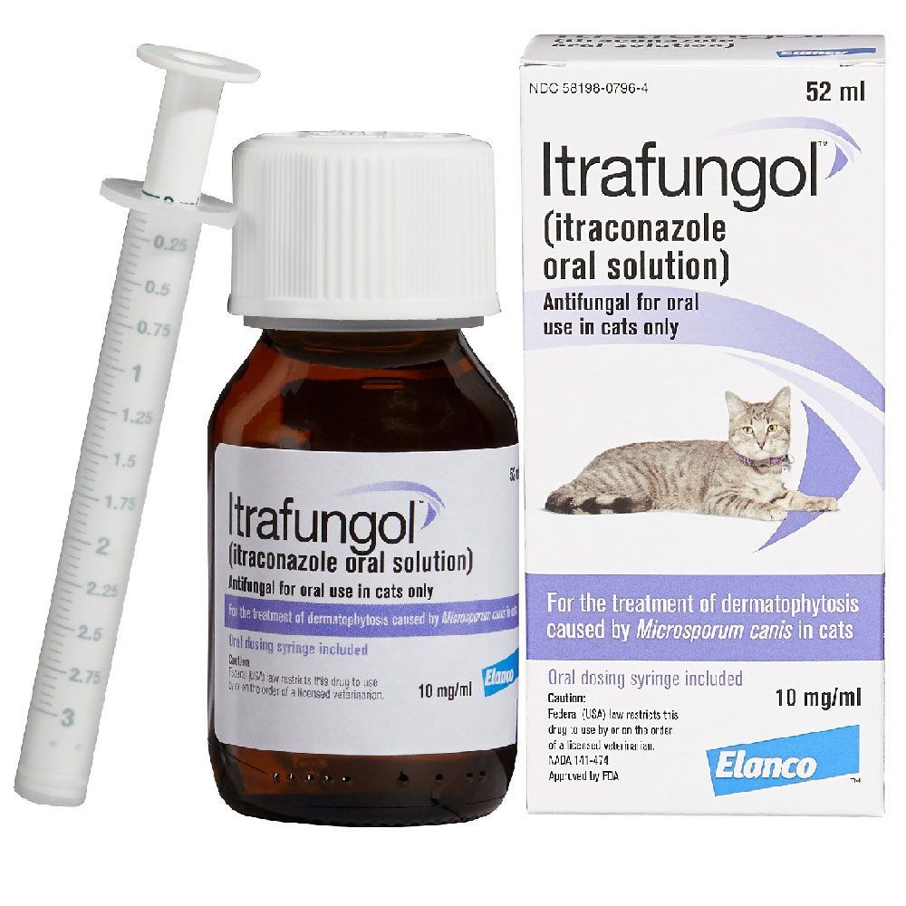 Itrafungol Oral Solution for Cats 10 mg/ml x 52 ml bottle - Pet Health Direct