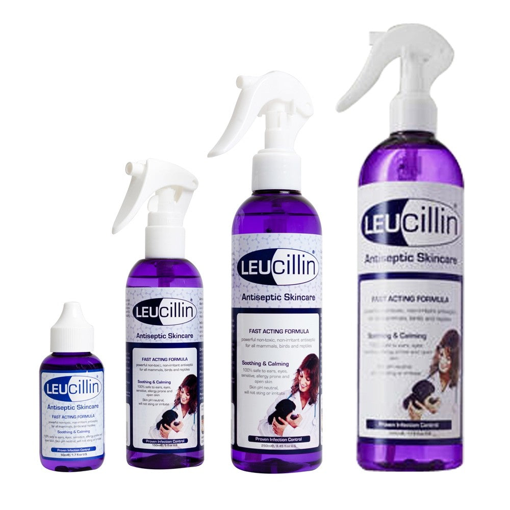 Leucillin spray shop for dogs