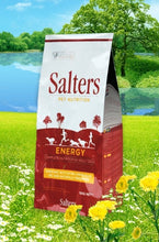 Load image into Gallery viewer, Salters Energy Dog Food - Pet Health Direct
