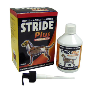 Stride for Dogs