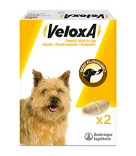 Load image into Gallery viewer, Veloxa Wormer for Dogs

