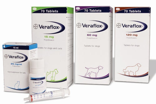 Veraflox for Dogs & Cats - Pet Health Direct