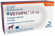 Load image into Gallery viewer, Vetoryl Capsules - Pet Health Direct
