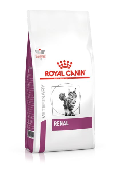 ROYAL CANIN® Renal Adult Dry Cat Food - Pet Health Direct