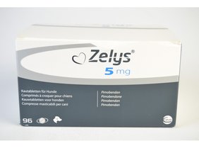 Zelys for Dogs - Pet Health Direct